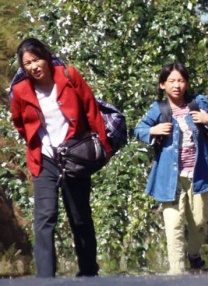 免费高清在线观看