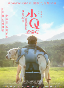 见证夺冠之旅！